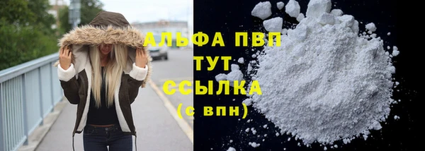 СК Арсеньев