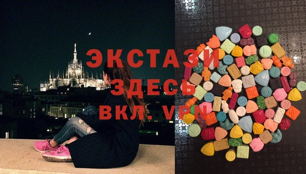 индика Баксан