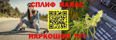 СК Гусев