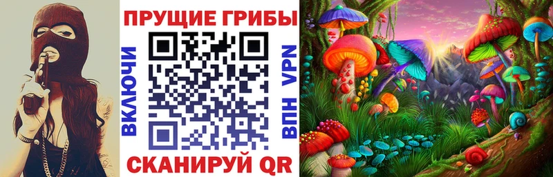 кракен как войти  Междуреченск  Псилоцибиновые грибы GOLDEN TEACHER 